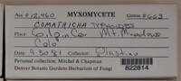 Image Associated With the Occurence